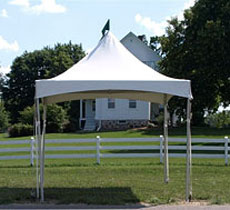 10 x 10 Marquee from always invited