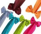 Polyester Chair Ties from Always Invited Event Rentals 