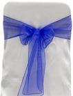 Royal Organza Tie from Always Invited Event Rentals