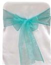 Turquoise Organza Tie from Always Invited Event Rentals
