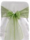 Willow Organza Tie from Always Invited Event Rentals