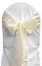 Lavender Pintuck Tie from Always Invited Event Rentals