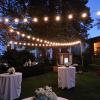 Cafe lights from Always Invited Event Rentals
