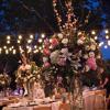 Cafe Lights from Always Invited Event Rentals 