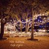 Cafe Lights from Always Invited Event Rentals