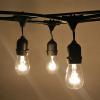 Edison Style Cafe Bulbs from Always Invited